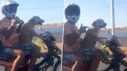 दो लोगों को पीछे बिठाकर बाइक चलाता दिखा कुत्ता, Viral Video देख चकरा जाएगा आपका दिमाग